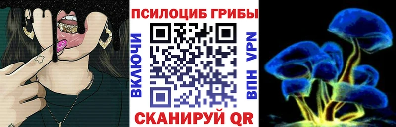 Псилоцибиновые грибы MAGIC MUSHROOMS Мариинск